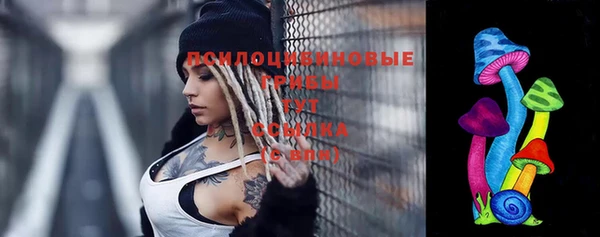дживик Алексеевка