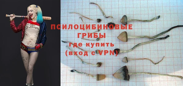 соль курить ск Алексин