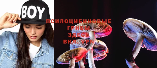 метадон Алзамай