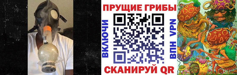 Псилоцибиновые грибы Psilocybe Димитровград