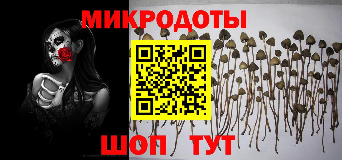 Псилоцибиновые грибы прущие грибы Димитровград