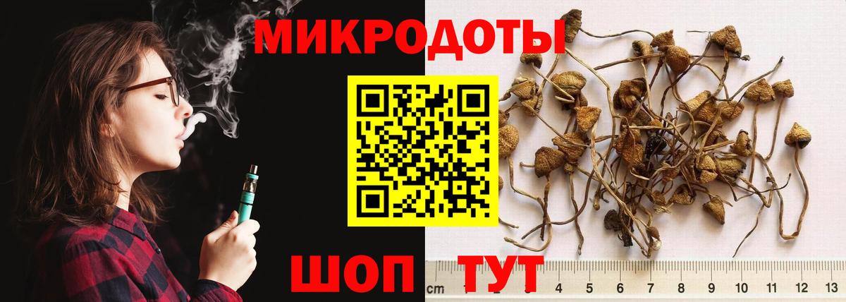 Галлюциногенные грибы MAGIC MUSHROOMS  Вход с VPN  Димитровград  Псилоцибиновые грибы GOLDEN TEACHER 