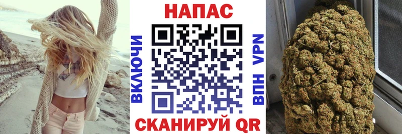 МЕГА вход  Димитровград  darknet официальный сайт  Шишки марихуана тримм 